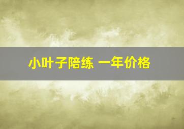 小叶子陪练 一年价格